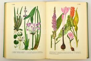 Jávorka Sándor, Csapody Vera: Erdő mező virágai. A magyar flóra színes kis atlasza. Függelék: Az ész...