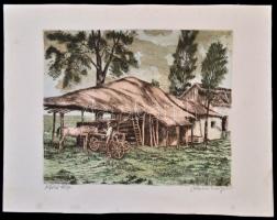 Blahos Rudolf (1917-1986): Alföldi tanya. Színezett rézkarc, papír, jelzett, 23×29 cm