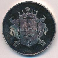 2000. "Naptárérem" fém emlékérem, hátoldalán Pesterzsébet címerével, műanyag tokban (42mm)...