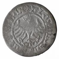 Lengyel Királyság 1501-1506. 1/2Gr Ag "Sándor" (0,9g) T:2,2- Poland 1501-1506. 1/2 Groschen Ag "Alexander" (0,9g) C:XF,VF