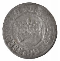 Lengyel Királyság 1501-1506. 1/2Gr Ag "Sándor" (0,9g) T:2,2-
Poland 1501-1506. 1/2 Grosch...