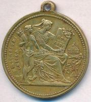 1896. "I. Ferencz József / Millenniumi emlék" Cu emlékérem, fülle (29,5mm) T:2,2-