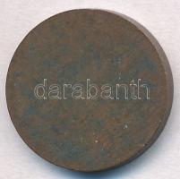 DN "Vidámpark" Br zseton (20mm) T:2