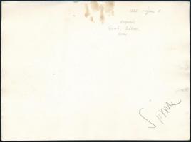 1955 Május elsejei felvonulás: Rákosi, Gerő, Dobi és Hegedűs a Sztálin-szobor előtt, fotó, hátulján ...