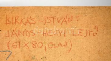 Birkás István (1947-): János-hegyi lejtő. Olaj, farost, jelzett, 60×80 cm