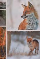 Elek Balázs, Zsoldos Barnabás: Magyar vadászösvényeken. Debrecen, [2010], TKK. Kiadói kartonált papí...