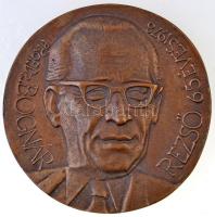 Váró Márton (1943-) 1978. &quot;Prof. Dr. Bognár Rezső 65 éves&quot; Br plakett (105mm) T:2