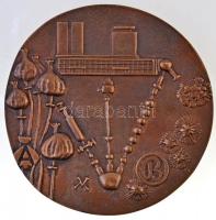 Váró Márton (1943-) 1978. "Prof. Dr. Bognár Rezső 65 éves" Br plakett (105mm) T:2