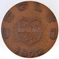 Képíró Zoltán (1944-1981) 1972. " Dózsa György / Cegléd" Br emlékérem (61mm) T:1-,2