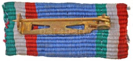 1976. "Szocialista Magyarországért Érdemrend" aranyozott, zománcozott miniatűrje, szalagsá...