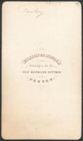cca 1860 Pulszky Ferenc (1814-1897) politikus, régész, műgyűjtő, szabadkőműves, MTA tag, Borsos és D...