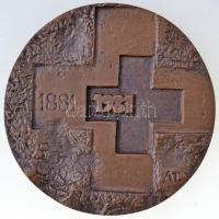 Asszonyi Tamás (1942-) 100 éves a Magyar Vöröskereszt kétoldalas Br emlékplakett (110mm) T:1