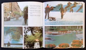 Radó Dezső: Budapesti parkok és terek. Bp., 1985, Magyar Nemzeti Galéria. Kiadói papírkötésben. A sz...