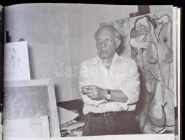 Barátom, Picasso. Juan Gyenes fényképes emlékezései. Szerk.: Marosi László. Bp., 184, Közgazdasági é...