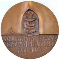 Ligeti Erika (1934-2004) 1975. A Szocialista Magyar Gyógyszerellátásért 1950-1975 kétoldalas Br plakett, eredeti tokban (97mm) T:1-,2