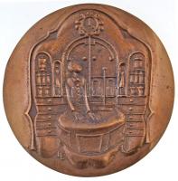 Ligeti Erika (1934-2004) 1975. "A Szocialista Magyar Gyógyszerellátásért 1950-1975" kétold...