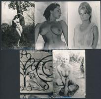7 db erotikus fotó, 9x6,5 és 12x9 cm közötti méretben