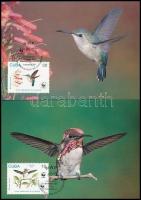 WWF: Kolibri sor + 4 FDC + 4 CM WWF: Hummingbird set + 4 FDC + 4 CM