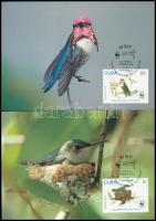 WWF: Kolibri sor + 4 FDC + 4 CM WWF: Hummingbird set + 4 FDC + 4 CM