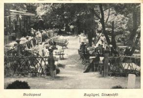 Budapest XII. Zugliget, Disznófő (kis szakadás / small tear)