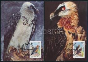 WWF: Saskeselyű sor 4 db CM-en WWF: Vulture set on 4 CM