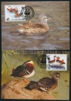 WWF: Mandarin duck set on 4 CM WWF: Mandarinréce sor 4 db CM-en