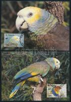 WWF King Amazon set + 4 FDC + 4 CM WWF: Királyamazon sor + 4 FDC + 4 CM