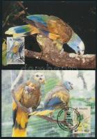 WWF King Amazon set + 4 FDC + 4 CM WWF: Királyamazon sor + 4 FDC + 4 CM