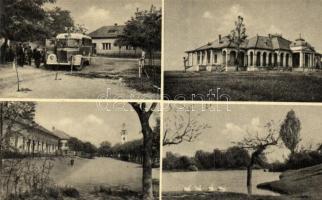 10 db MODERN főleg megíratlan magyar autóbuszos motívumlap / 10 MODERN mostly unused Hungarian autob...