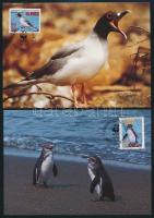 WWF: Galapagos sor 4 értéke + 4 FDC + 4 CM WWF: Galapagos set 4 stamps + 4 FDC + 4 CM