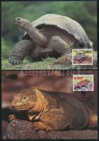 WWF: Galapagos sor 4 értéke + 4 FDC + 4 CM WWF: Galapagos set 4 stamps + 4 FDC + 4 CM