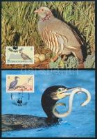 WWF Madarak sor + 4 FDC + 4 CM WWF Birds set + 4 FDC + 4 CM