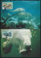 WWF: Dugong set on 4 CM WWF: Dugong sor 4 db CM-en