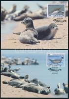 WWF Seals set + 4 FDC + 4 CM WWF: Fókák sor + 4 db FDC + 4 db CM