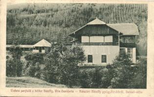 Maroshévíz, Toplita; Bánffy-gyógyfürdő, Dezső Villa / villa