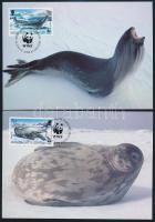 WWF: Seals and penguins on 4 CM WWF: Fókák és pingvinek 4 érték 4 db CM-en