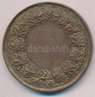 Német Birodalom 1895. "Berlini Nemzetközi Művészeti és Ipar Kiállítás" Br emlékérem (51mm)...