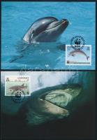 WWF: Marine wildlife set on 4 FDC + 4 CM WWF: Tengeri élővilág sor 4 db FDC-n + 4 db CM-en