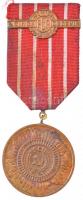 Románia 1971. "Emlékérem a Romániai Kommunista Párt 50 éves évfordulójára" Br emlékérem szalagon T:2  Romania 1971. "Medal for the 50th Anniversary of the Romanian Communist Party" Br medal with ribbon C:XF