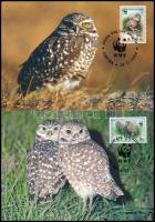 WWF Bagoly sor + 4 FDC + 4 CM WWF Owls set + 4 FDC + 4 CM