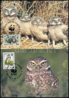 WWF Bagoly sor + 4 FDC + 4 CM WWF Owls set + 4 FDC + 4 CM