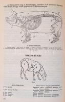 Szakácskönyv. Szerk.: Venesz József. Bp., 1956, Közgazdasági és Jogi Könyvkiadó. Ötödik, bővített ki...