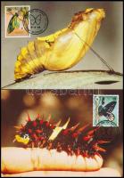 WWF: Butterfly set on 4 CM WWF: Pillangó sor 4 db CM-en