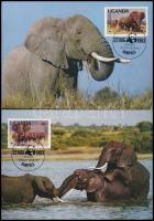 WWF: African Elephant set on 4 CM WWF: Afrikai elefánt sor 4 db CM-en