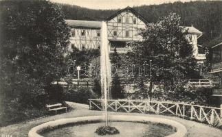 Feketehegyfürdő, Merény, Nálepkovo; Thököly ház, szökőkút / villa, fountain (EK)