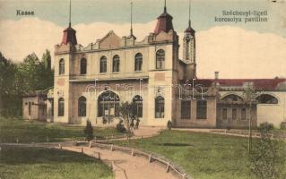 Kassa, Kosice; Széchenyi liget, korcsolya pavilon / park, skating pavilion