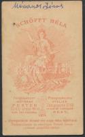 cca 1870-1890 Mészáros János és családja, Schöfft Béla, Pest, keményhátú fotó,10x6 cm