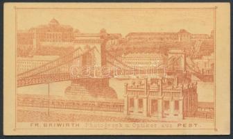 cca 1870  Családportré, Fr. Briwirth, Pest, keményhátú fotó, 10x6 cm