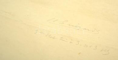 Henri-Charles Guérard (1846-1897):Japán kard markolat (Tsuba), és késhüvely illusztrációk (Saya,Tant...