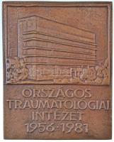 Szabolcs Péter (1942- ) 1981. "Országos Traumatológiai Intézet 1956-1981" Br plakett (109x...